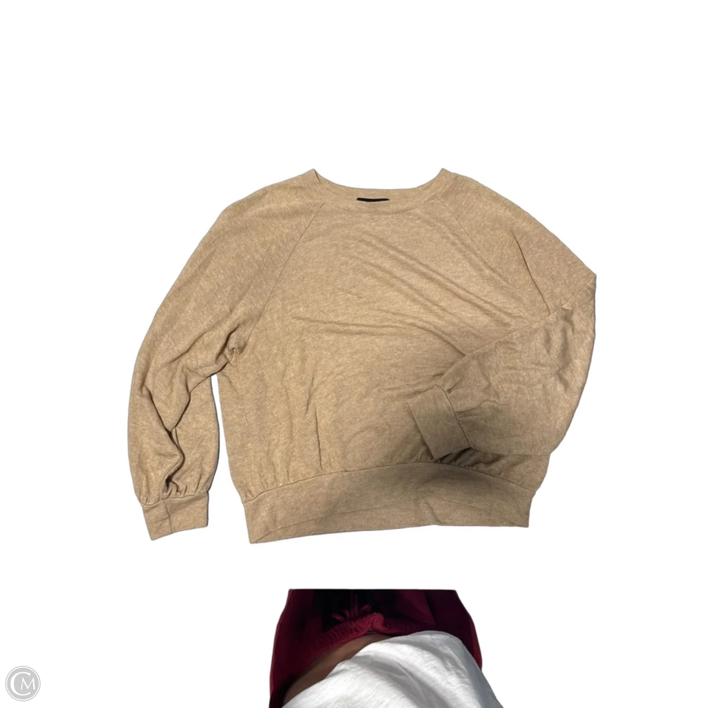 Top Long Sleeve By Sanctuary In Tan, Size: L