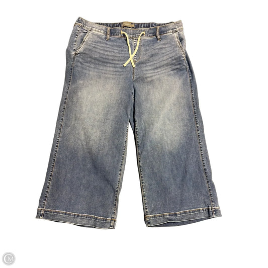 Jeans Wide Leg By Torrid In Blue, Size: 2x