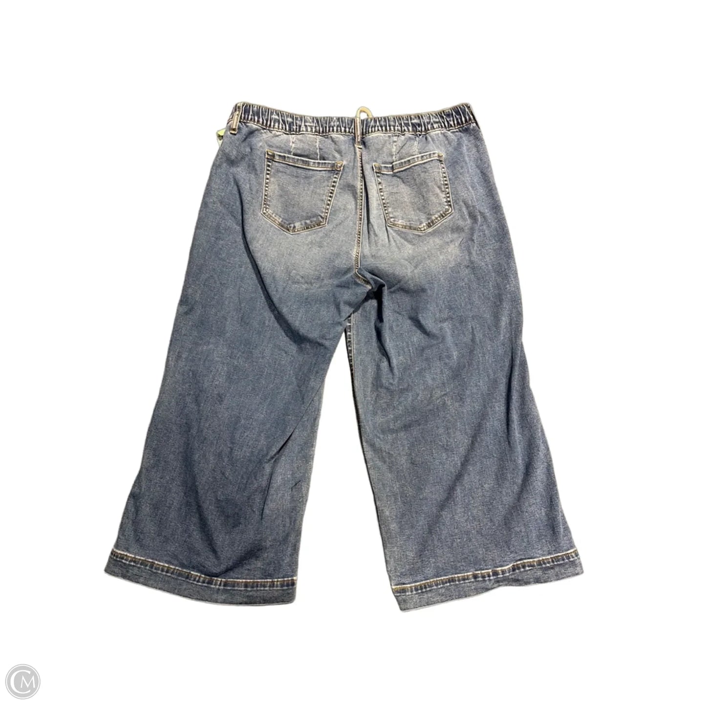 Jeans Wide Leg By Torrid In Blue, Size: 2x
