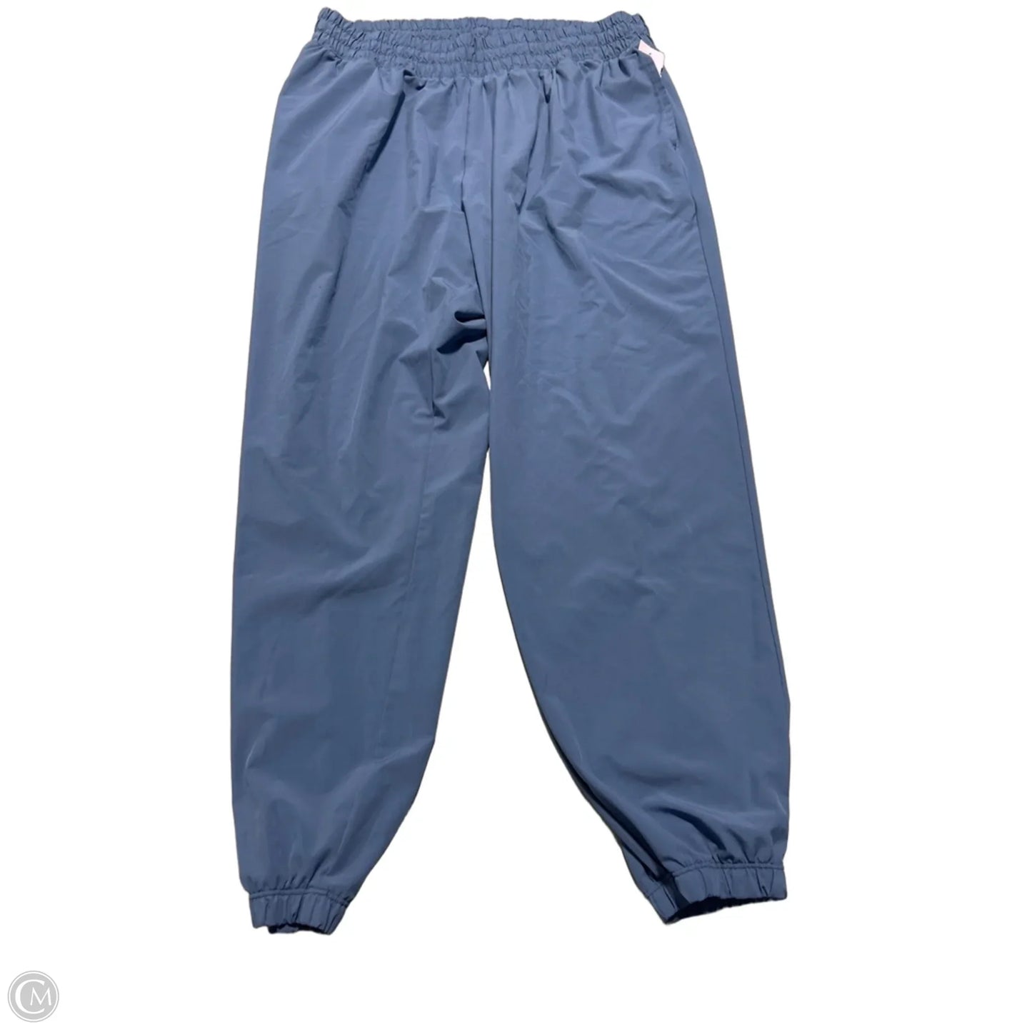 Pants Other By Aerie In Blue, Size: L