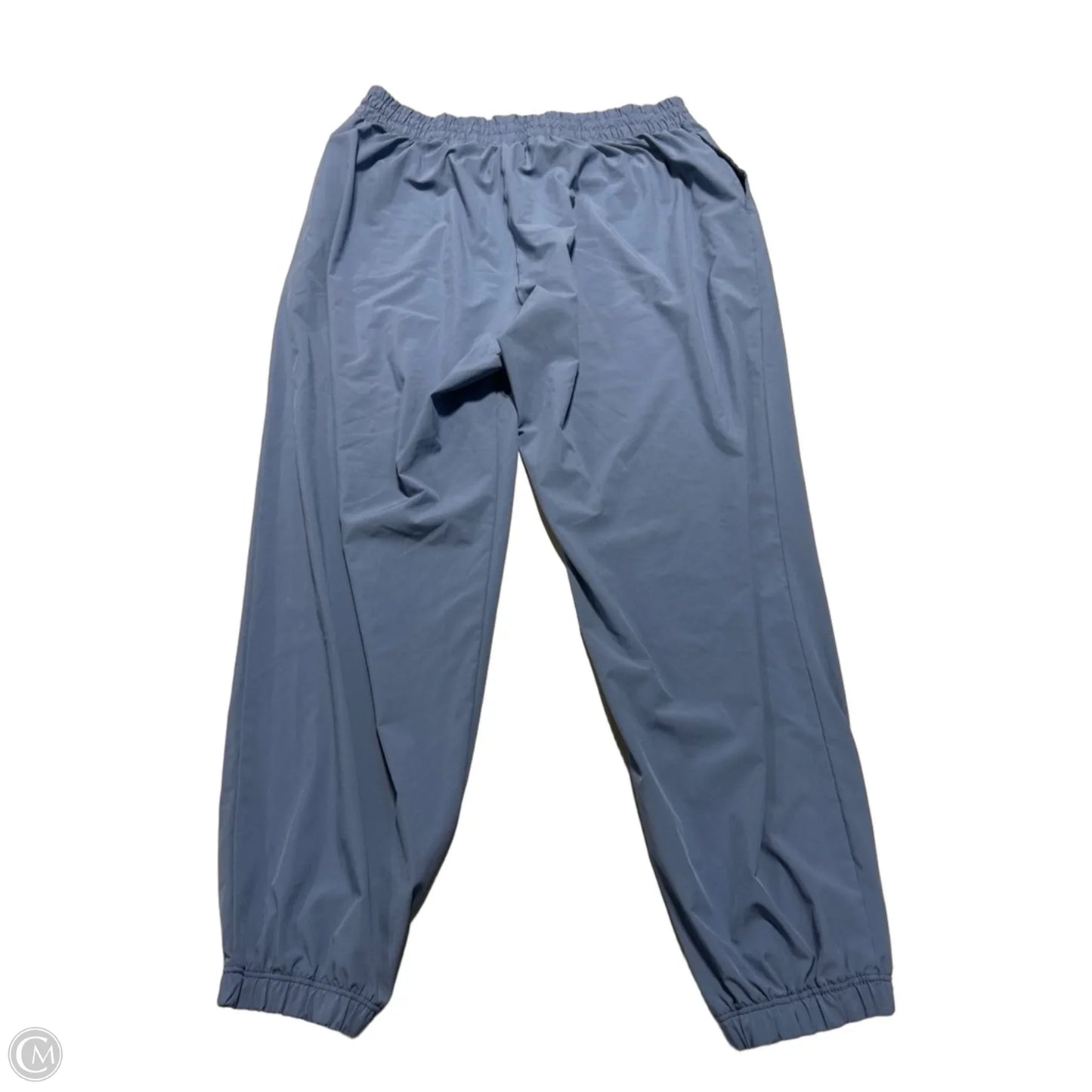 Pants Other By Aerie In Blue, Size: L