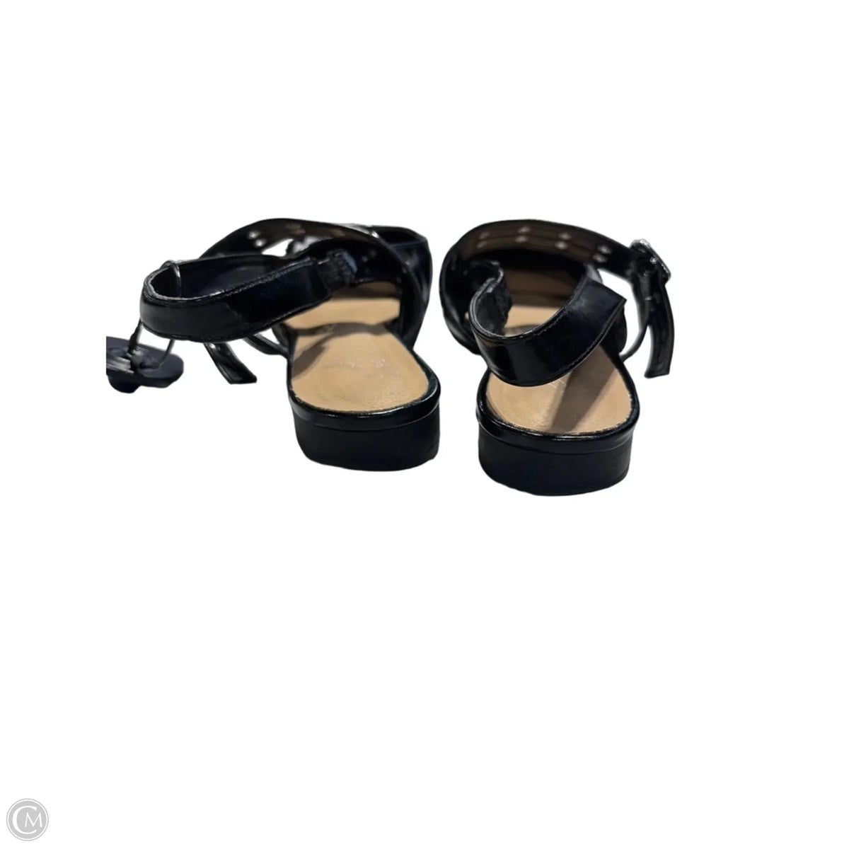 Shoes Flats By Report In Black, Size: 8