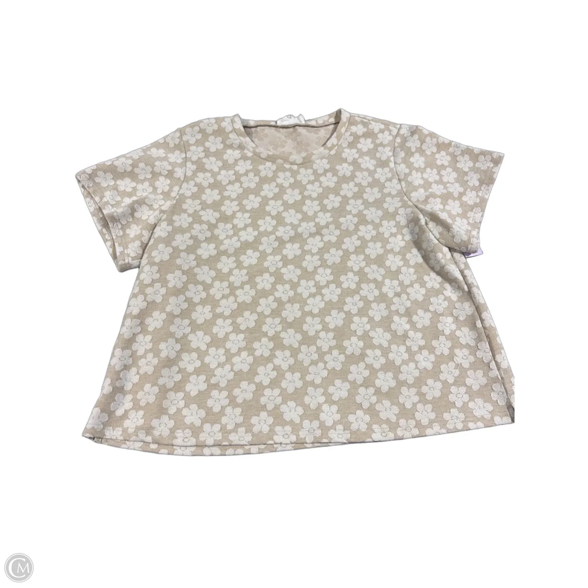 Top Short Sleeve By Cmc In Beige, Size: Xl