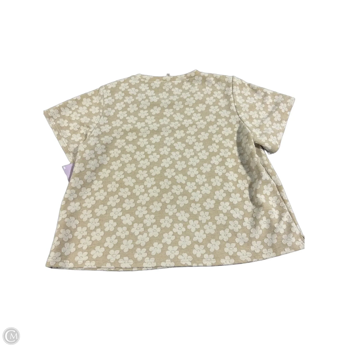 Top Short Sleeve By Cmc In Beige, Size: Xl