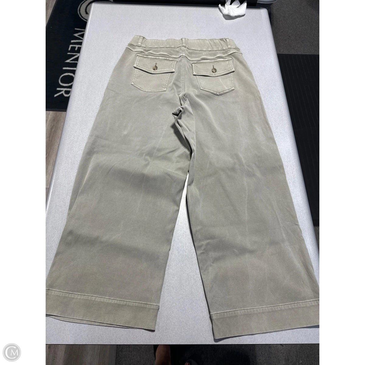 Pants Other By Spanx In Green, Size: 1x