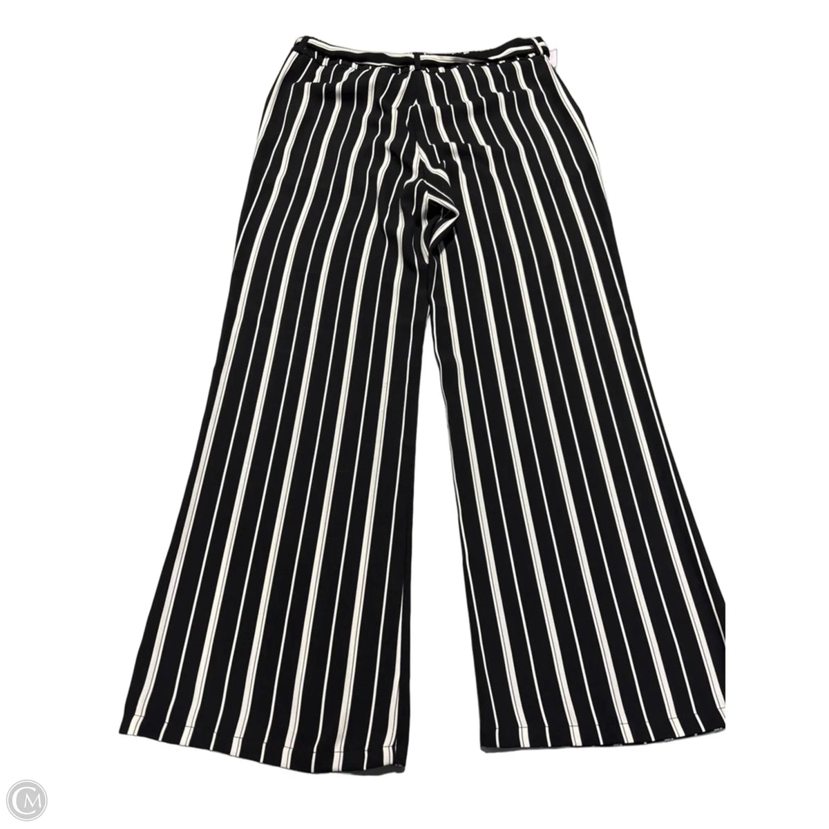 Pants Other By Charlie B In Striped Pattern, Size: L