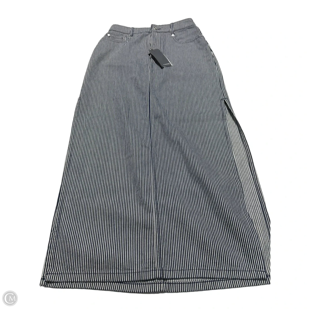 Skirt Maxi By Cmc In Striped Pattern, Size: M
