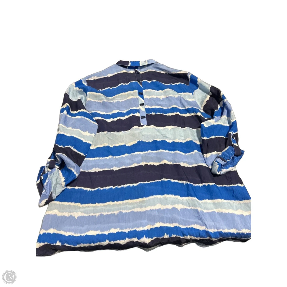 Top Long Sleeve By Multiples In Blue, Size: 1x
