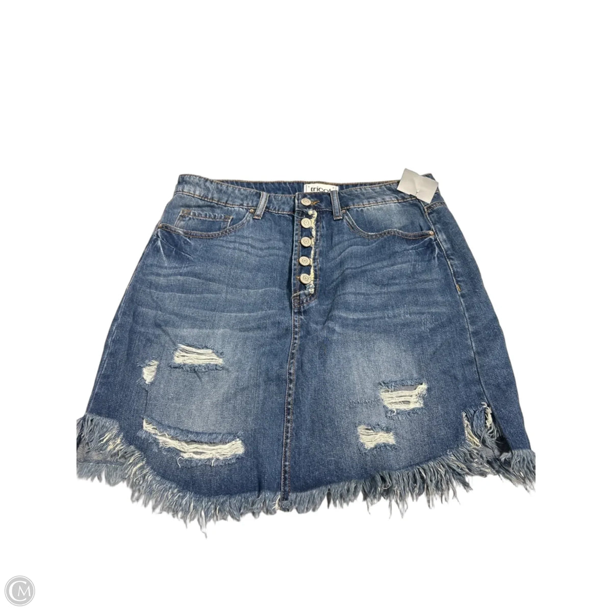 Skirt Mini & Short By Cmc In Blue, Size: L