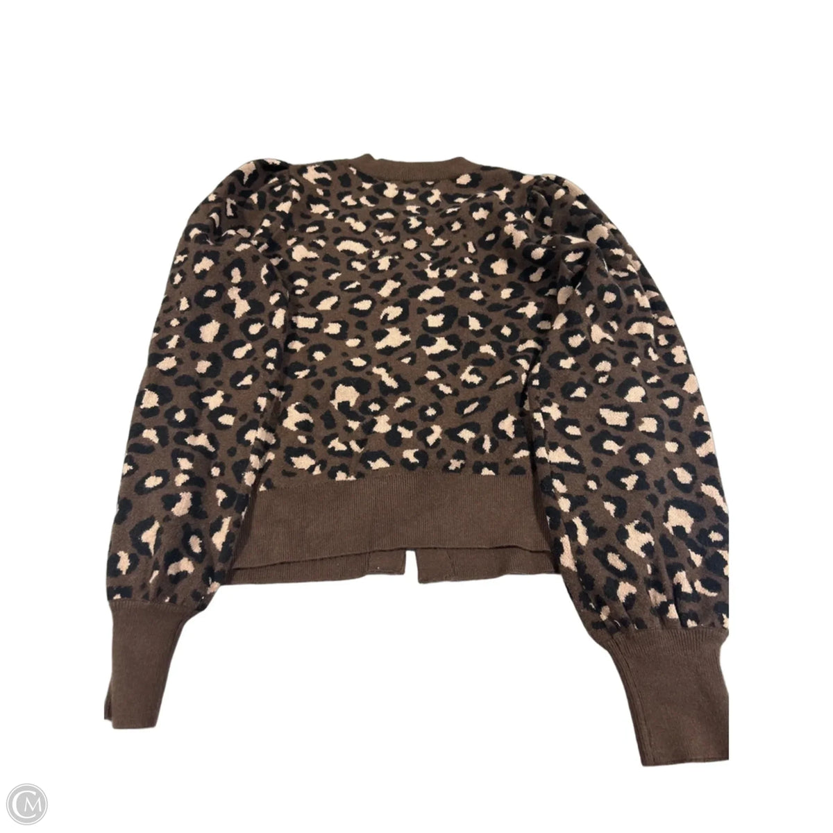 Sweater By Express In Animal Print, Size: L