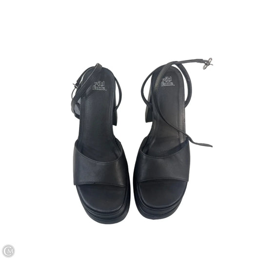 Shoes Heels Platform By Wild Fable In Black, Size: 8