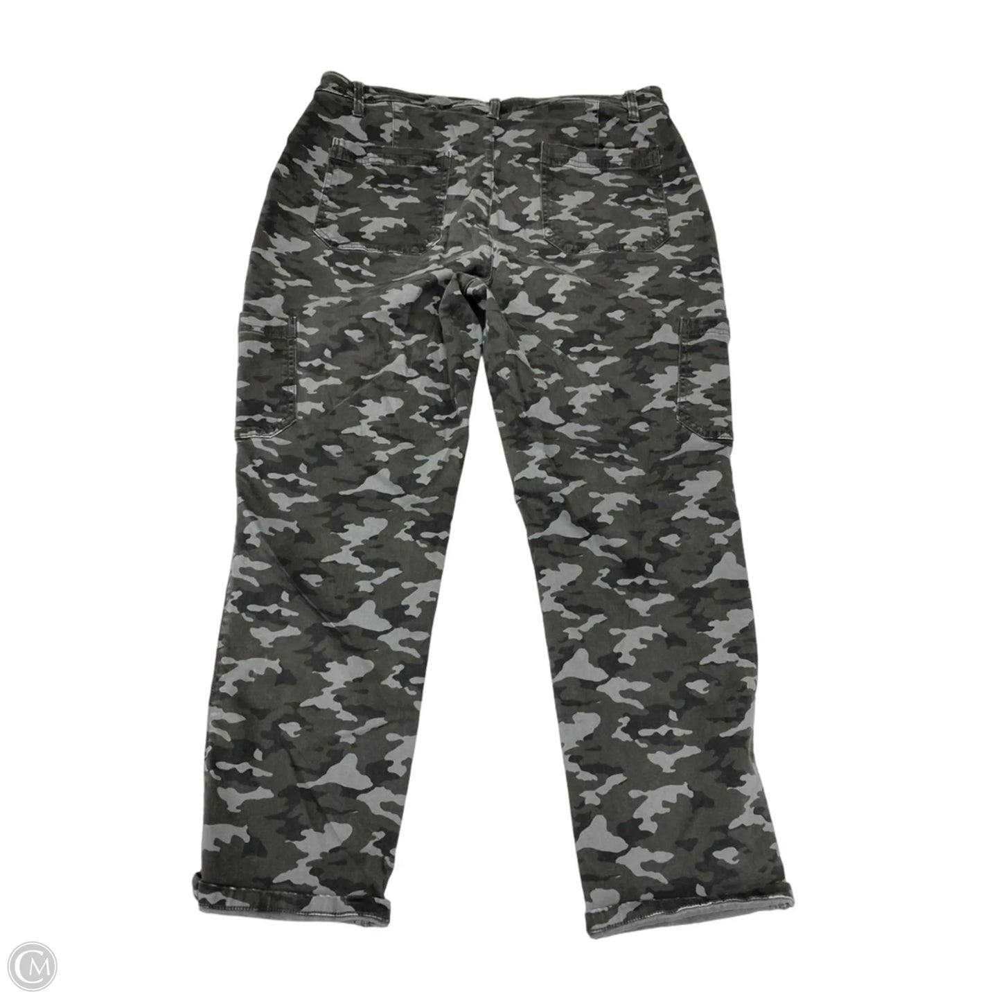 Pants Cargo & Utility By Banana Republic In Camouflage Print, Size: 16