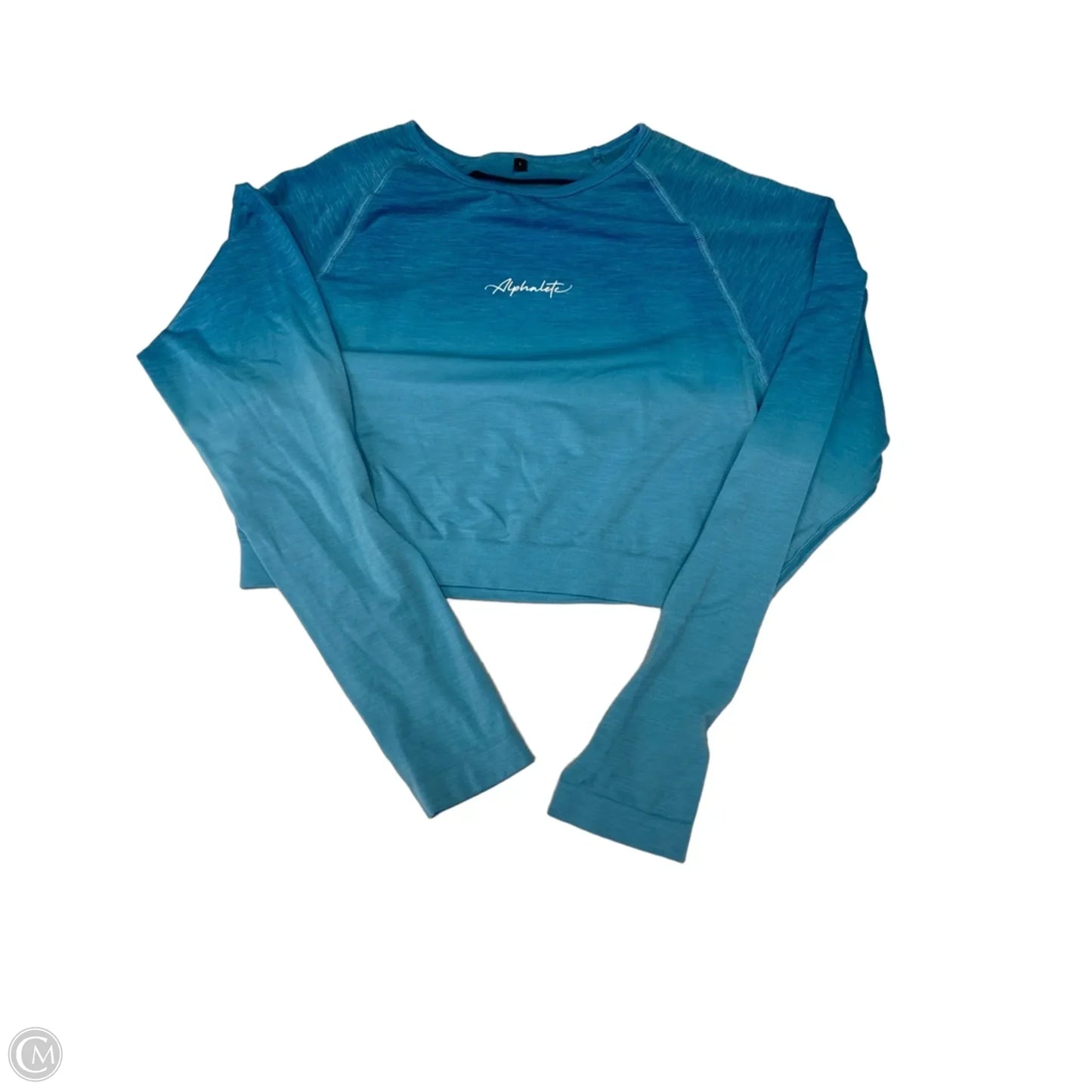 Athletic Top Long Sleeve Collar By Alphalete In Blue, Size: L