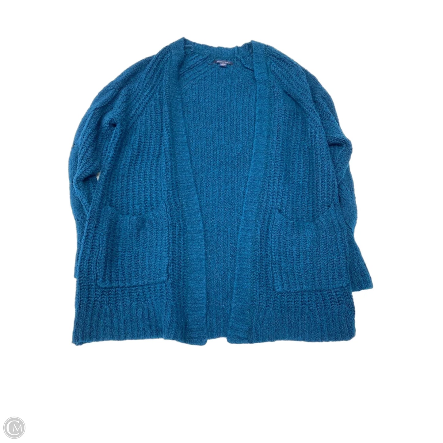 Sweater Cardigan By American Eagle In Blue, Size: Xs