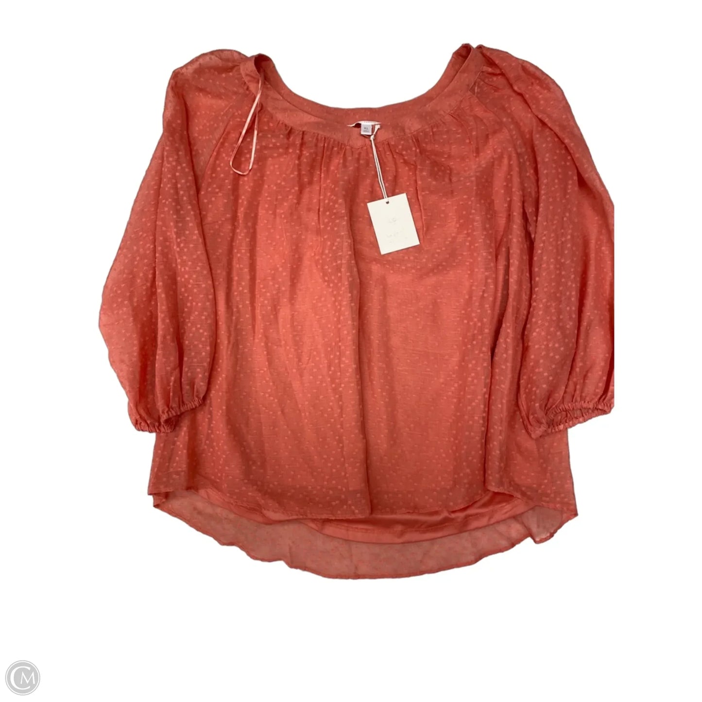 Blouse Long Sleeve By Clothes Mentor In Peach, Size: Xl