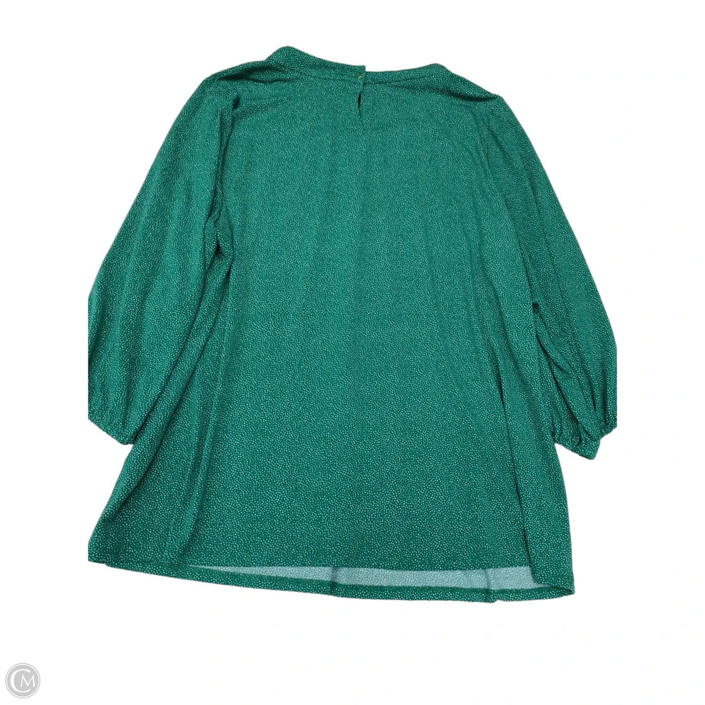 Blouse Long Sleeve By Adrianna Papell In Green, Size: 3x