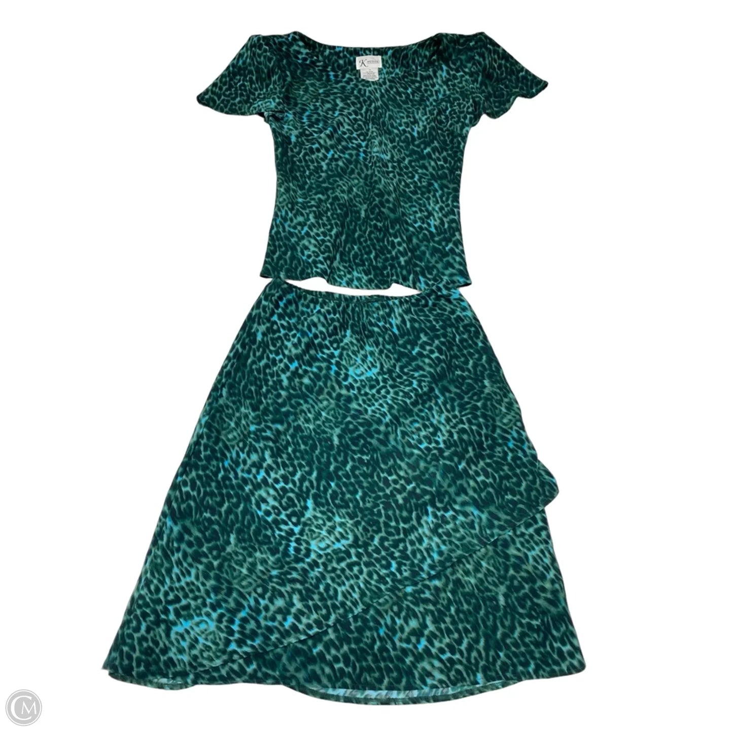 Skirt Set 2pc By Clothes Mentor In Green, Size: 4p