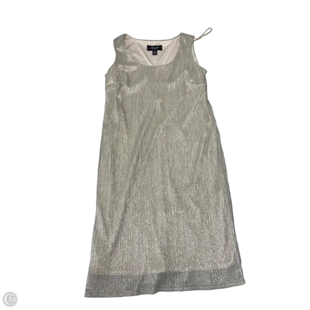 Dress Set 2pc By R And M Richards In Silver, Size: M
