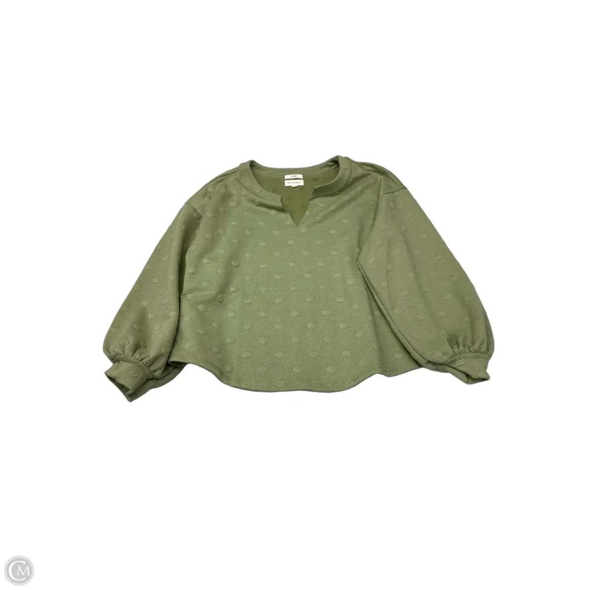Sweatshirt Crewneck By Blu Pepper In Green, Size: S