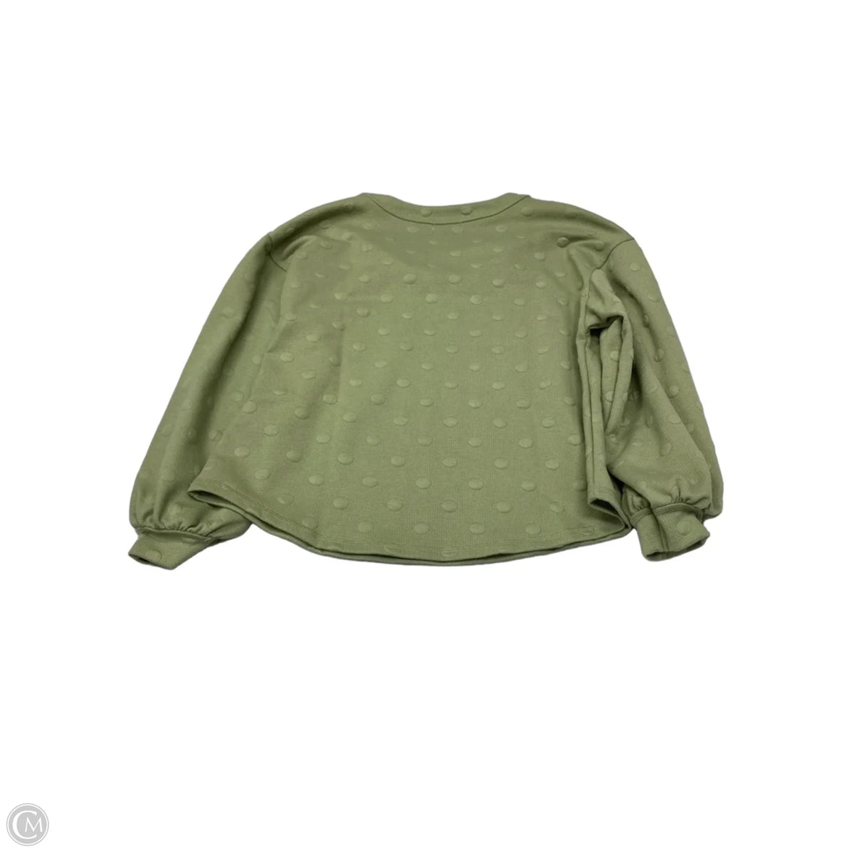 Sweatshirt Crewneck By Blu Pepper In Green, Size: S