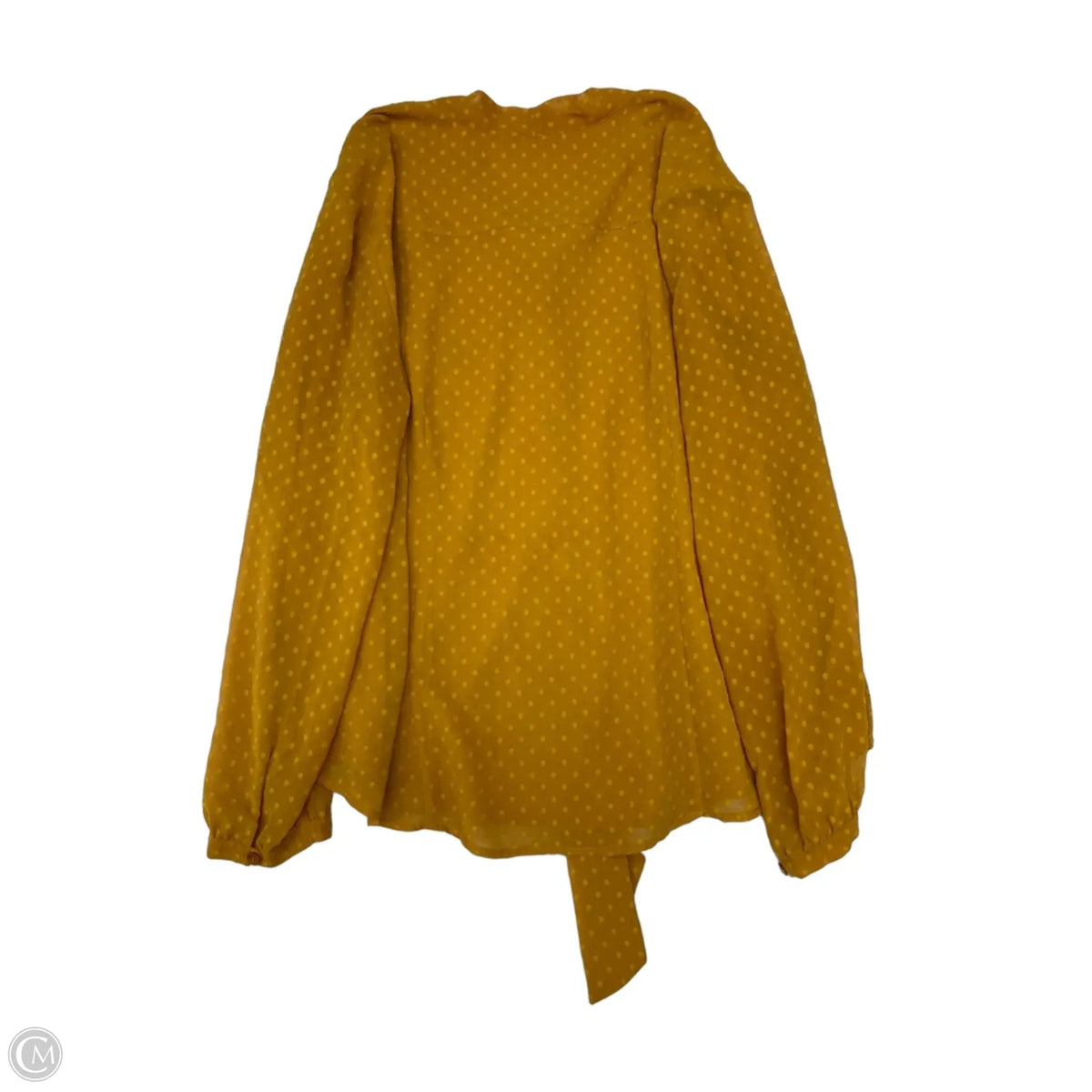 Top Long Sleeve By Chicos In Yellow, Size: Xl