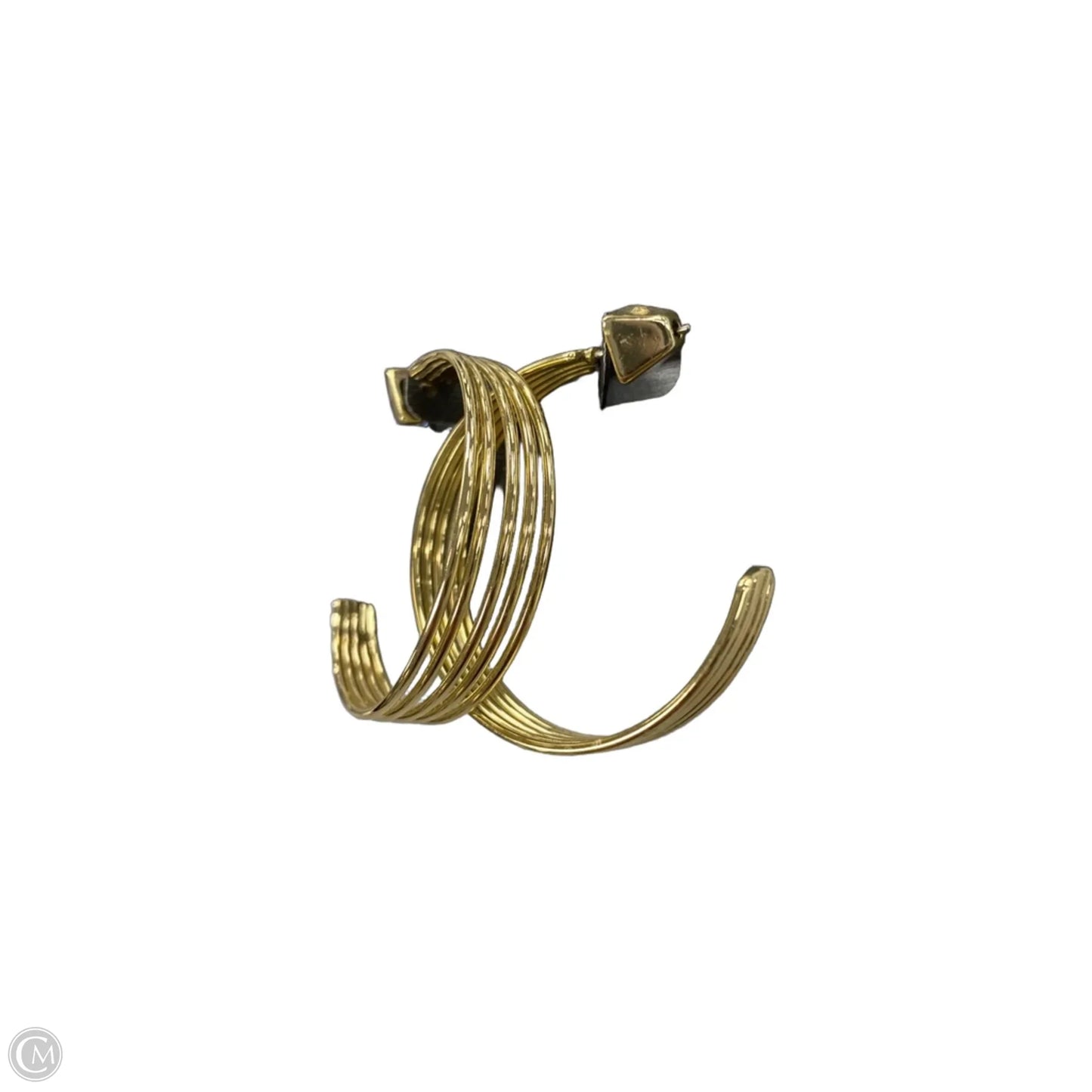 Earrings Hoop By Vince Camuto