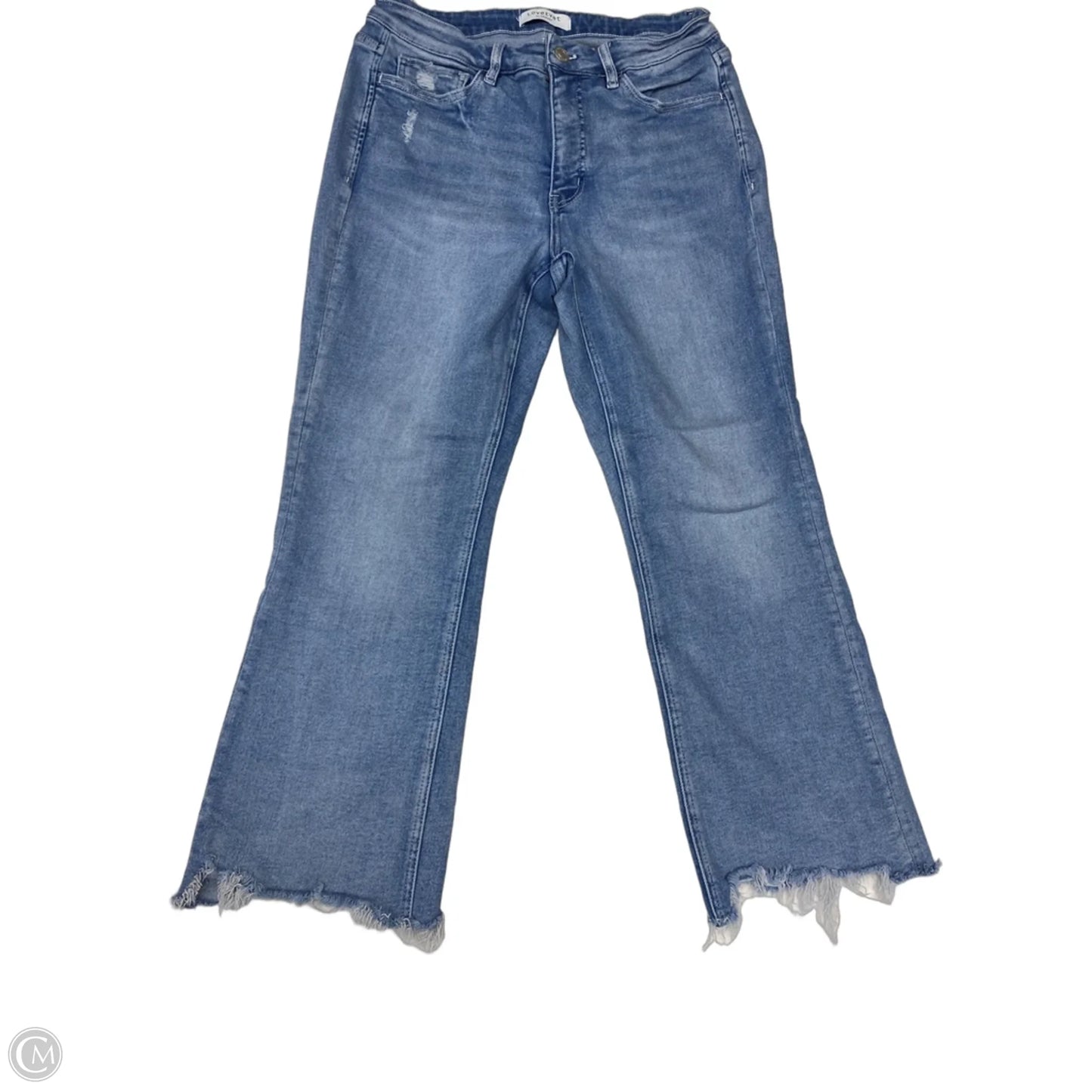 Jeans Boot Cut By Vervet In Blue, Size: 14