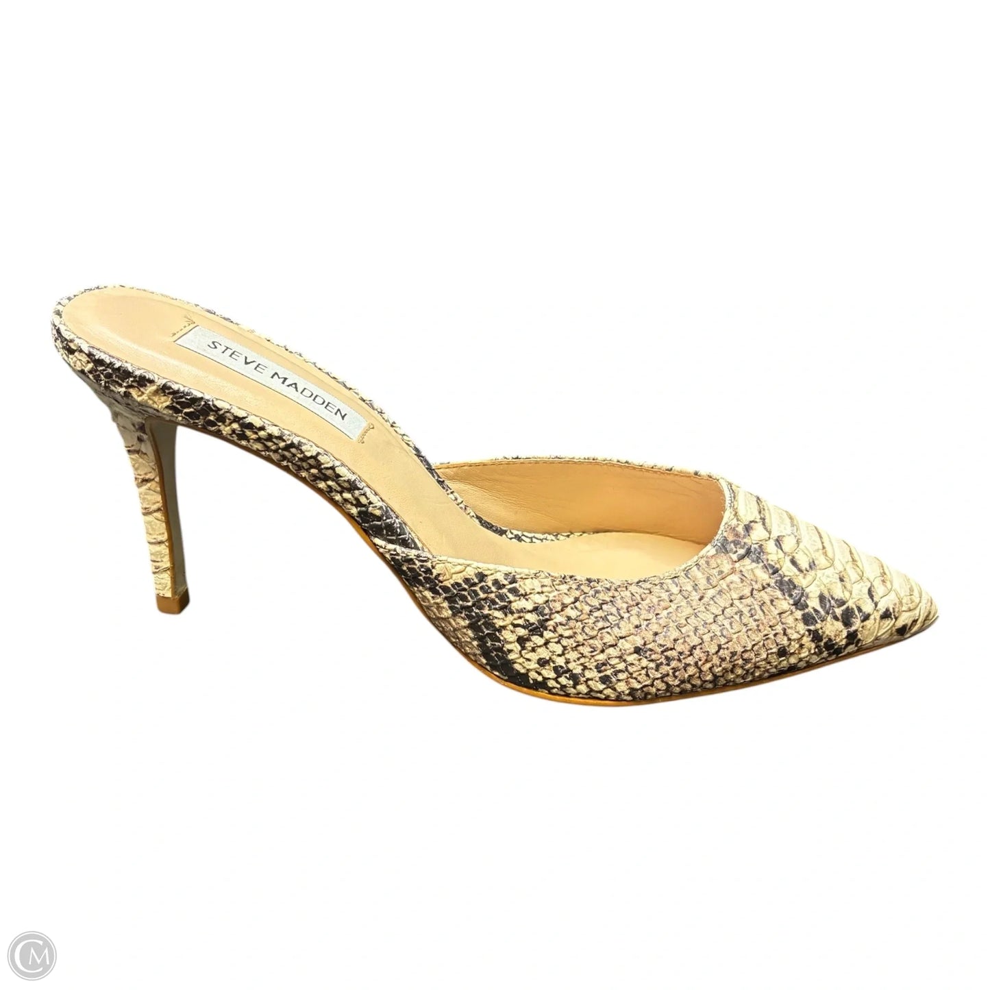 Shoes Heels Kitten By Steve Madden In Snakeskin Print, Size: 8.5