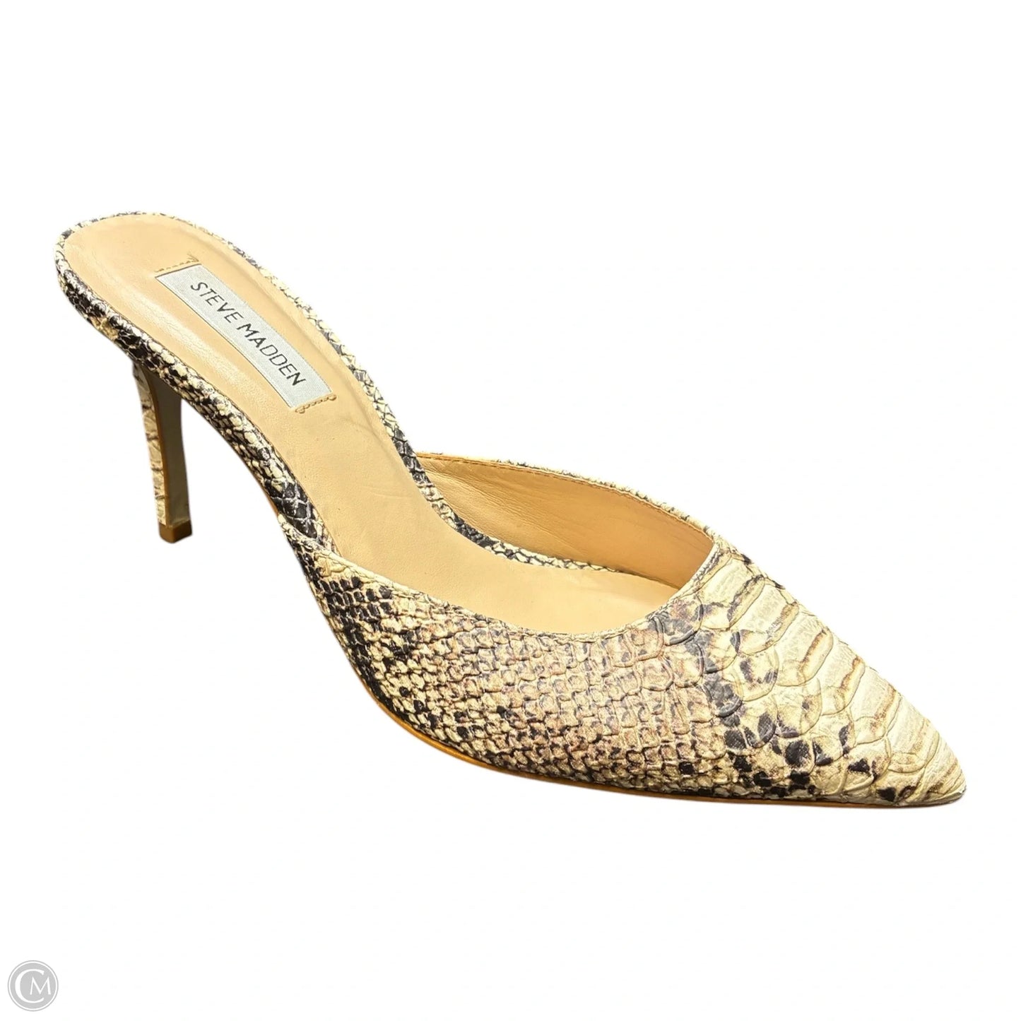 Shoes Heels Kitten By Steve Madden In Snakeskin Print, Size: 8.5