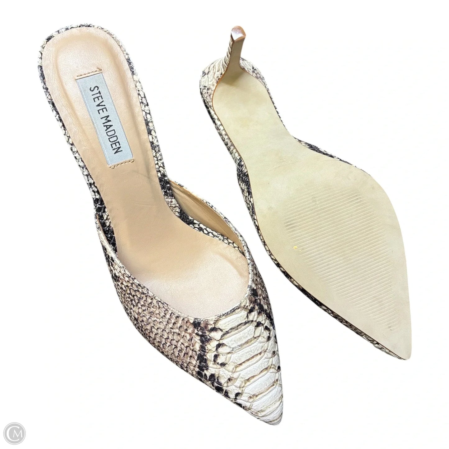 Shoes Heels Kitten By Steve Madden In Snakeskin Print, Size: 8.5