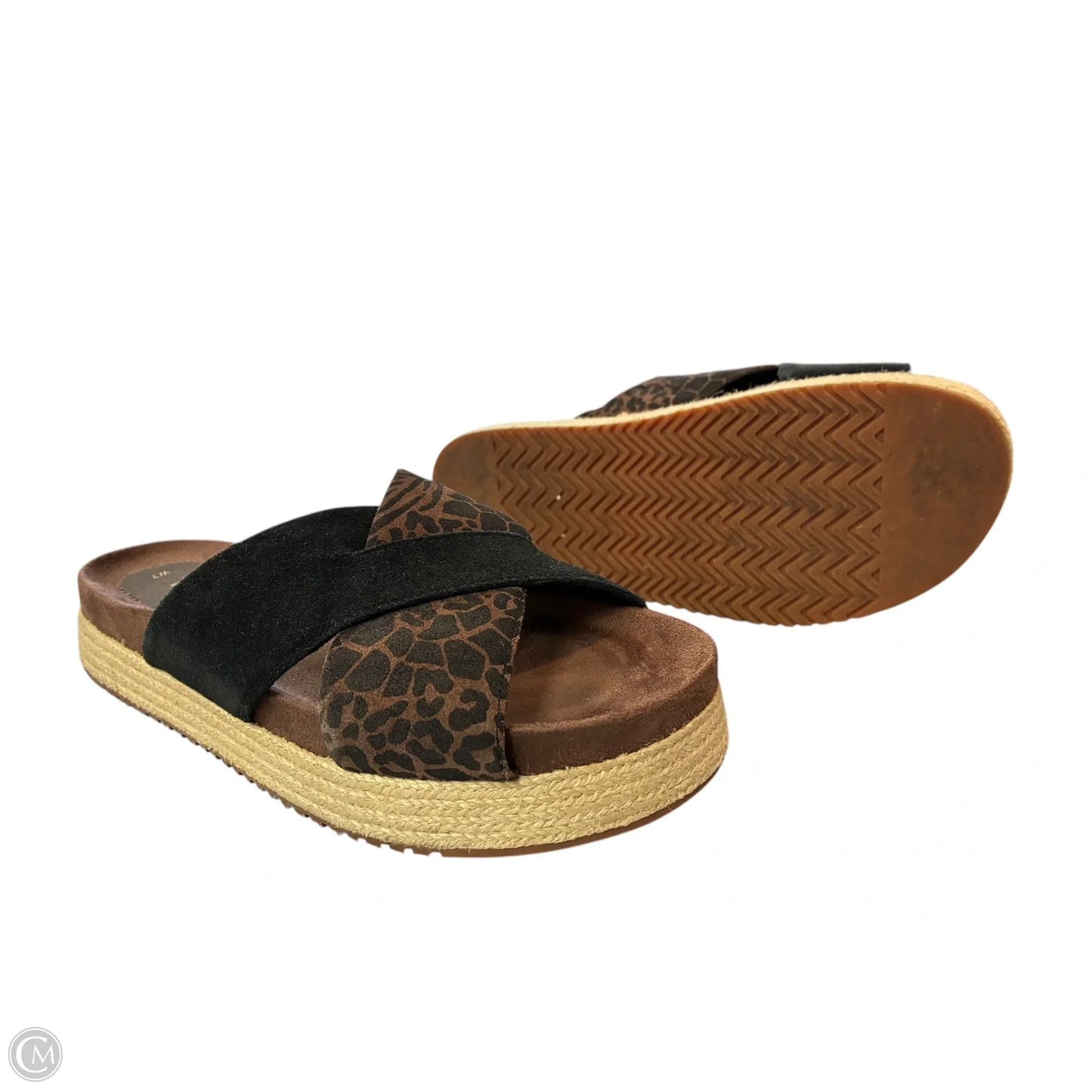 Sandals Flats By Toms In Animal Print, Size: 7
