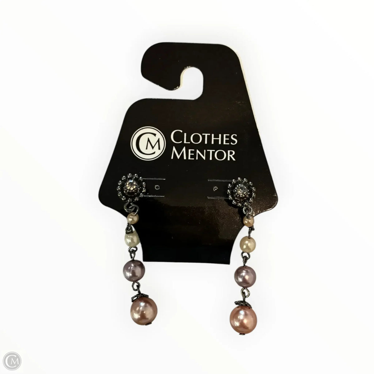 Earrings Dangle/drop By Chicos