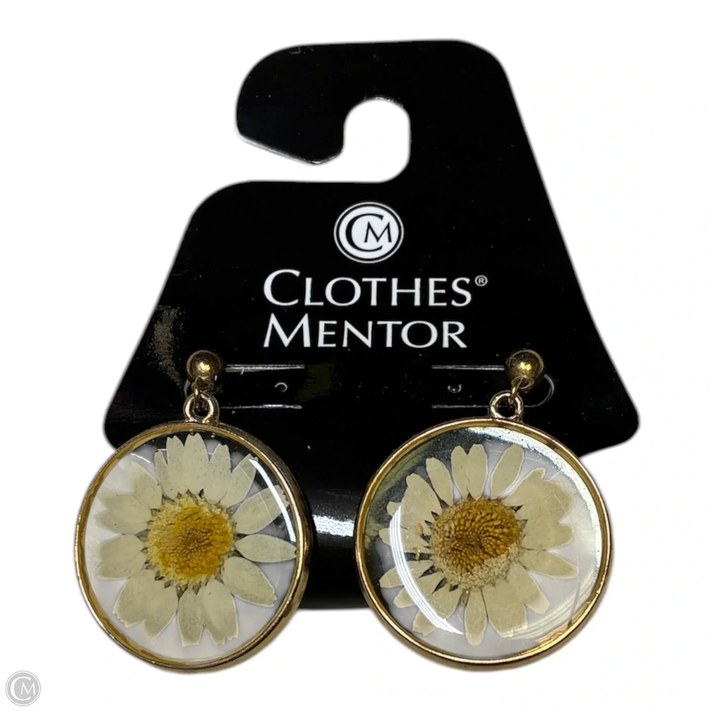 Earrings Dangle/drop By Francesca's