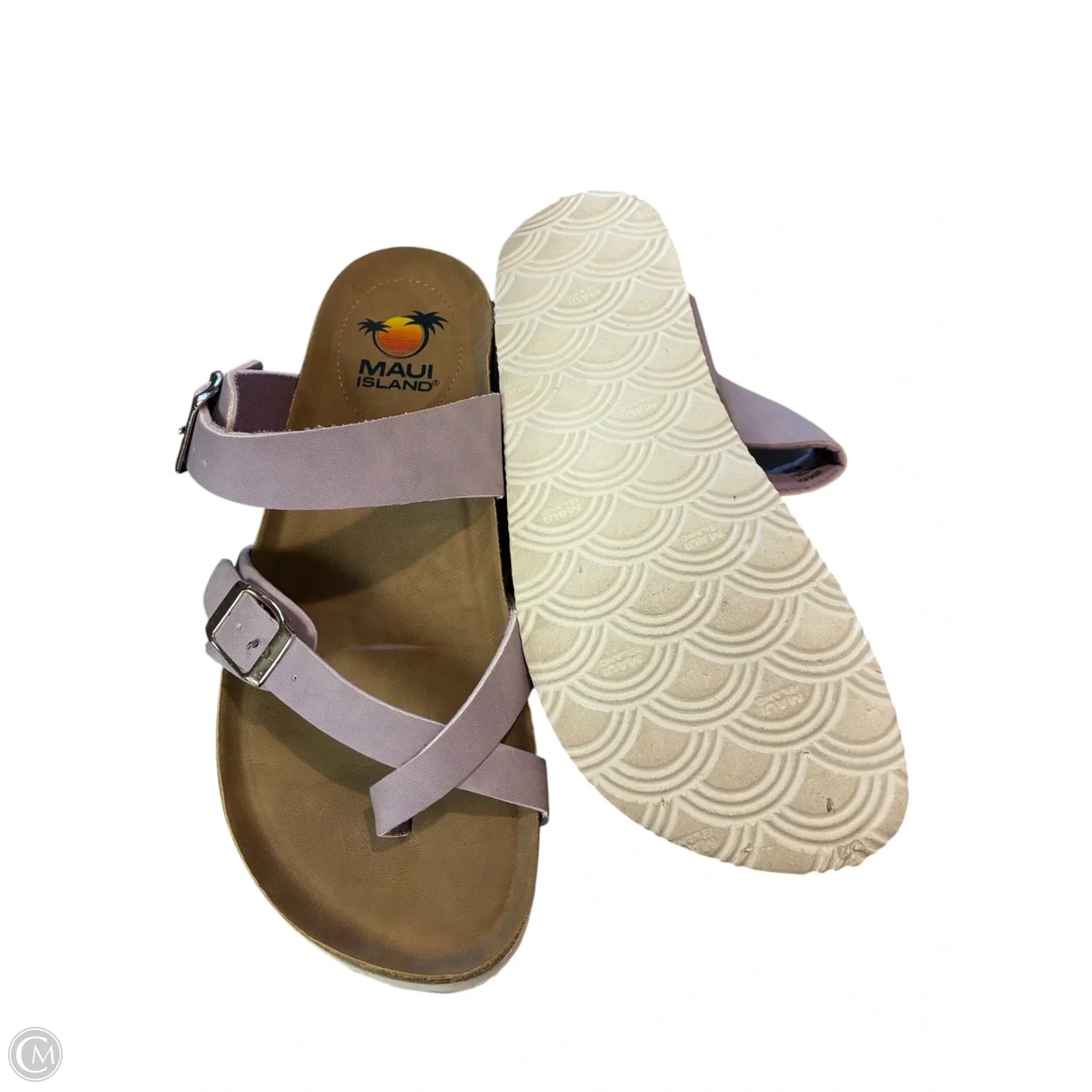 Sandals Flats By Clothes Mentor In Purple, Size: 9