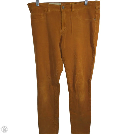 Pants Corduroy By Pilcro In Orange, Size: 12