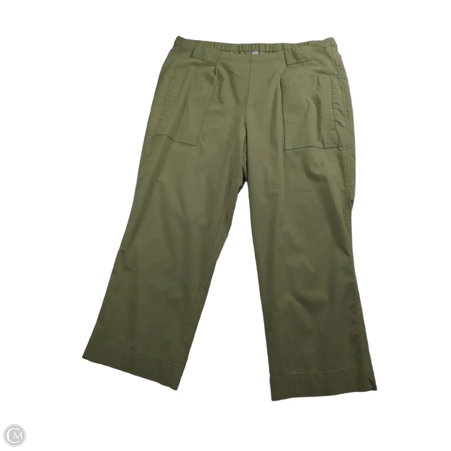 Pants Cargo & Utility By Clothes Mentor In Green, Size: 1x