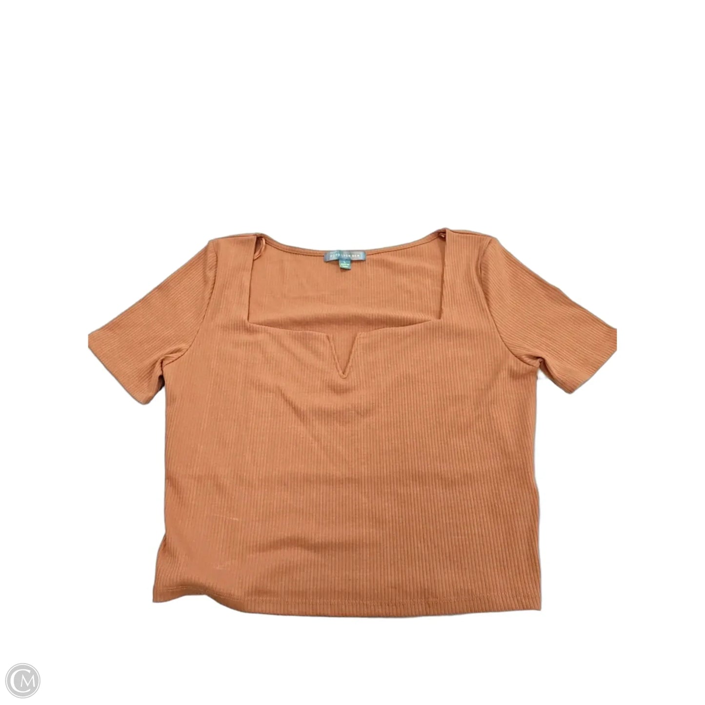 Top Short Sleeve Basic By Good Luck Gem In Tan, Size: L