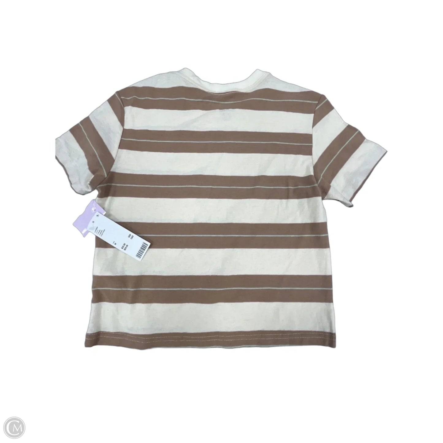 Top Short Sleeve Basic By Bdg In Brown & Cream, Size: M