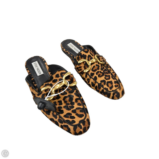 Shoes Flats By Steve Madden In Animal Print, Size: 7.5