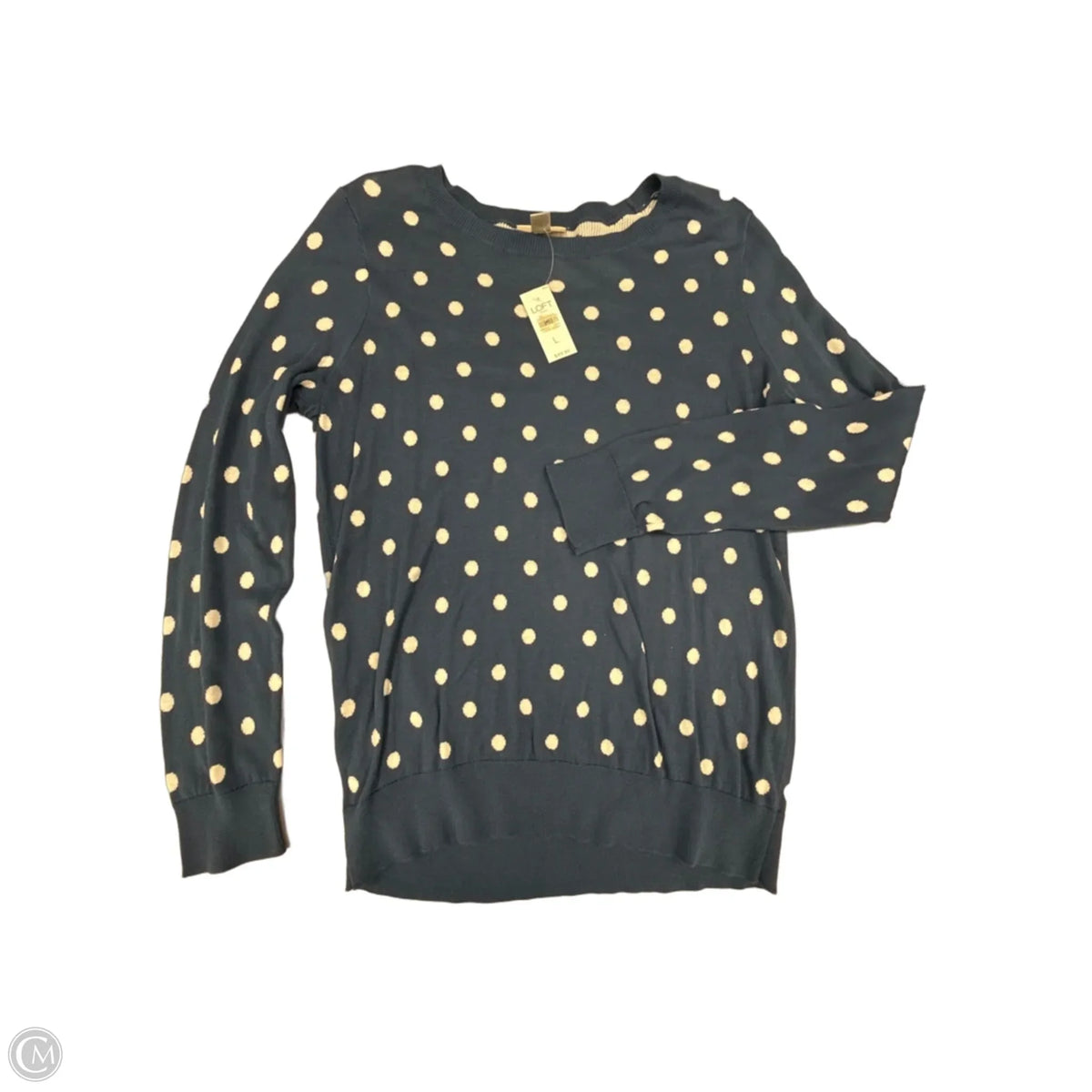 Top Long Sleeve By Loft In Blue, Size: L