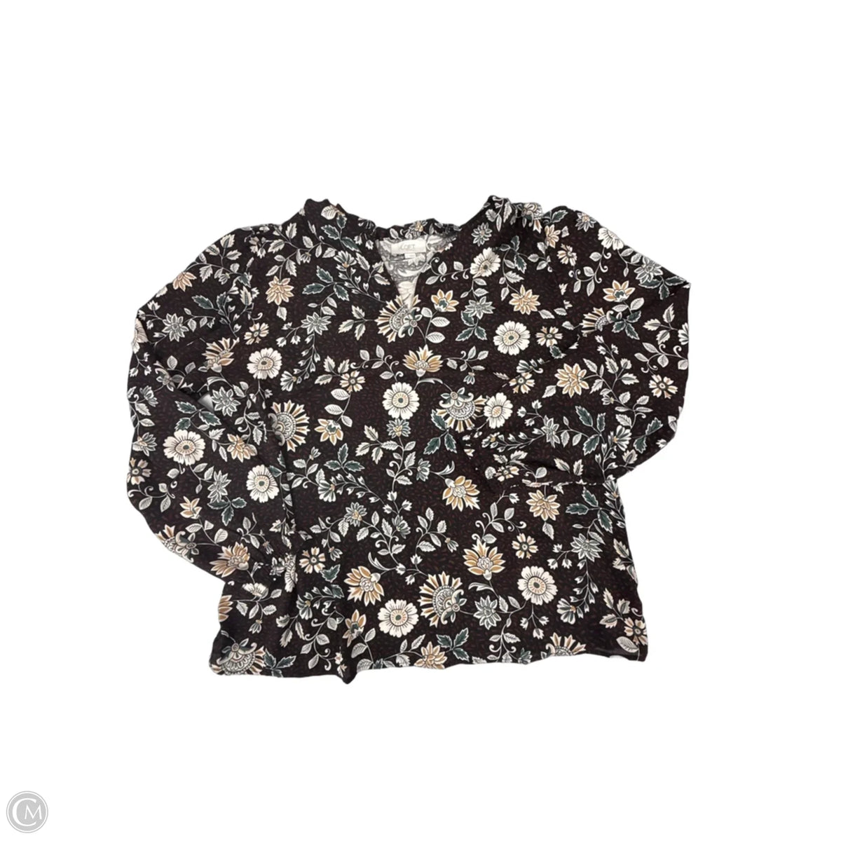 Top Long Sleeve By Loft In Brown, Size: L