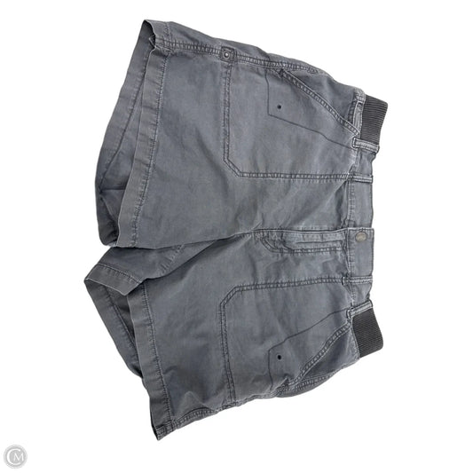 Shorts By American Eagle In Grey, Size: 12
