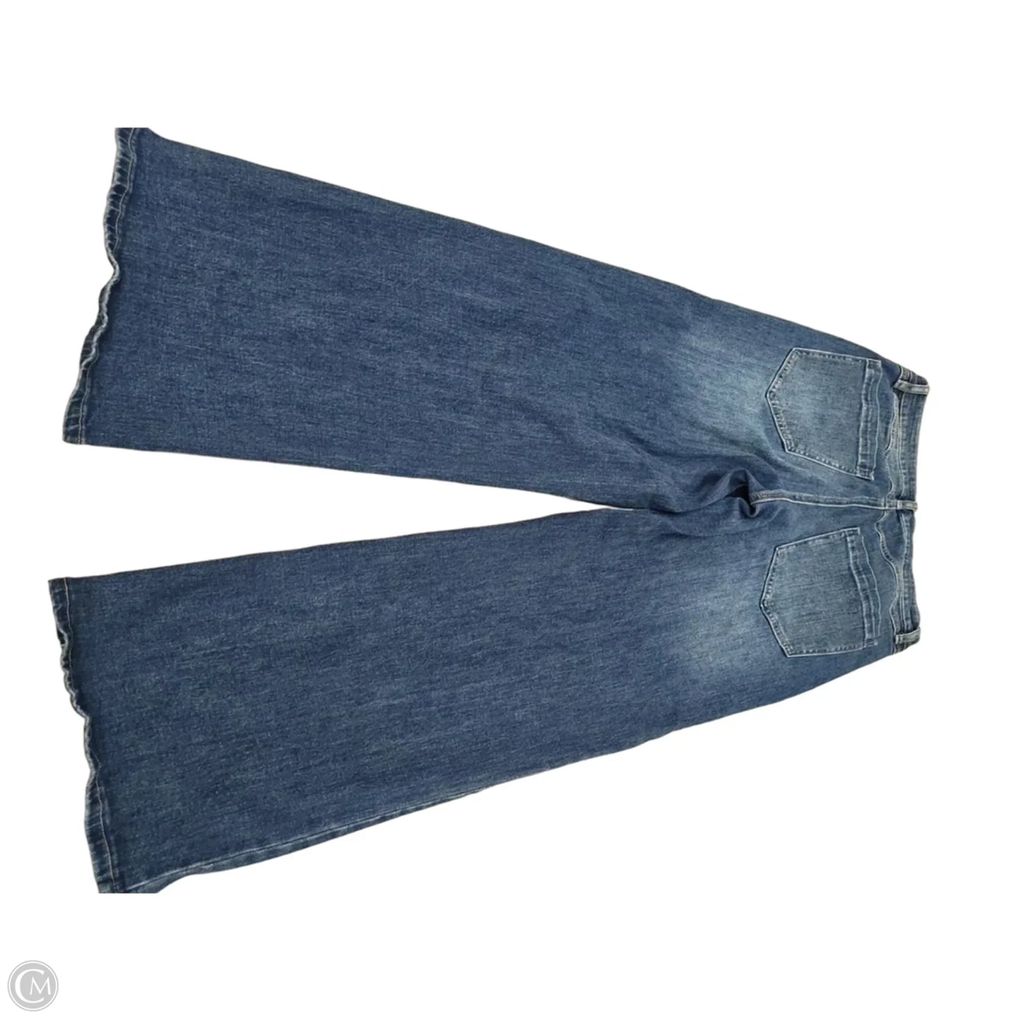 Jeans Wide Leg By Indigo Rein In Blue Denim, Size: 10