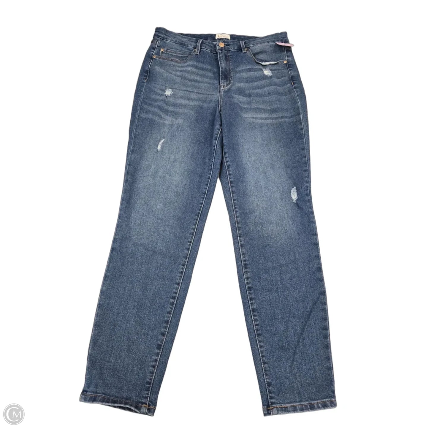 Jeans Skinny By Nicole By Nicole Miller In Blue Denim, Size: 14