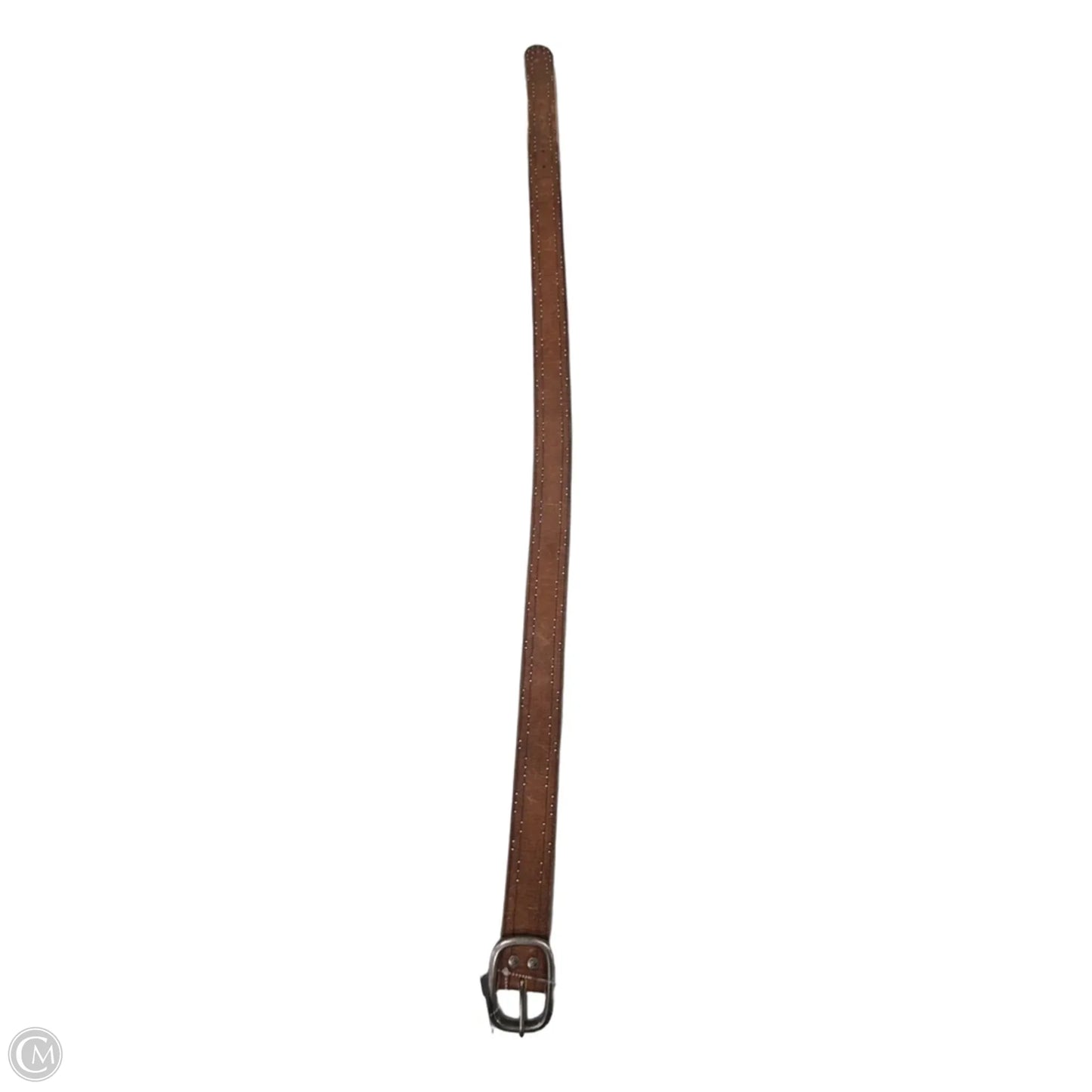 Belt By American Eagle