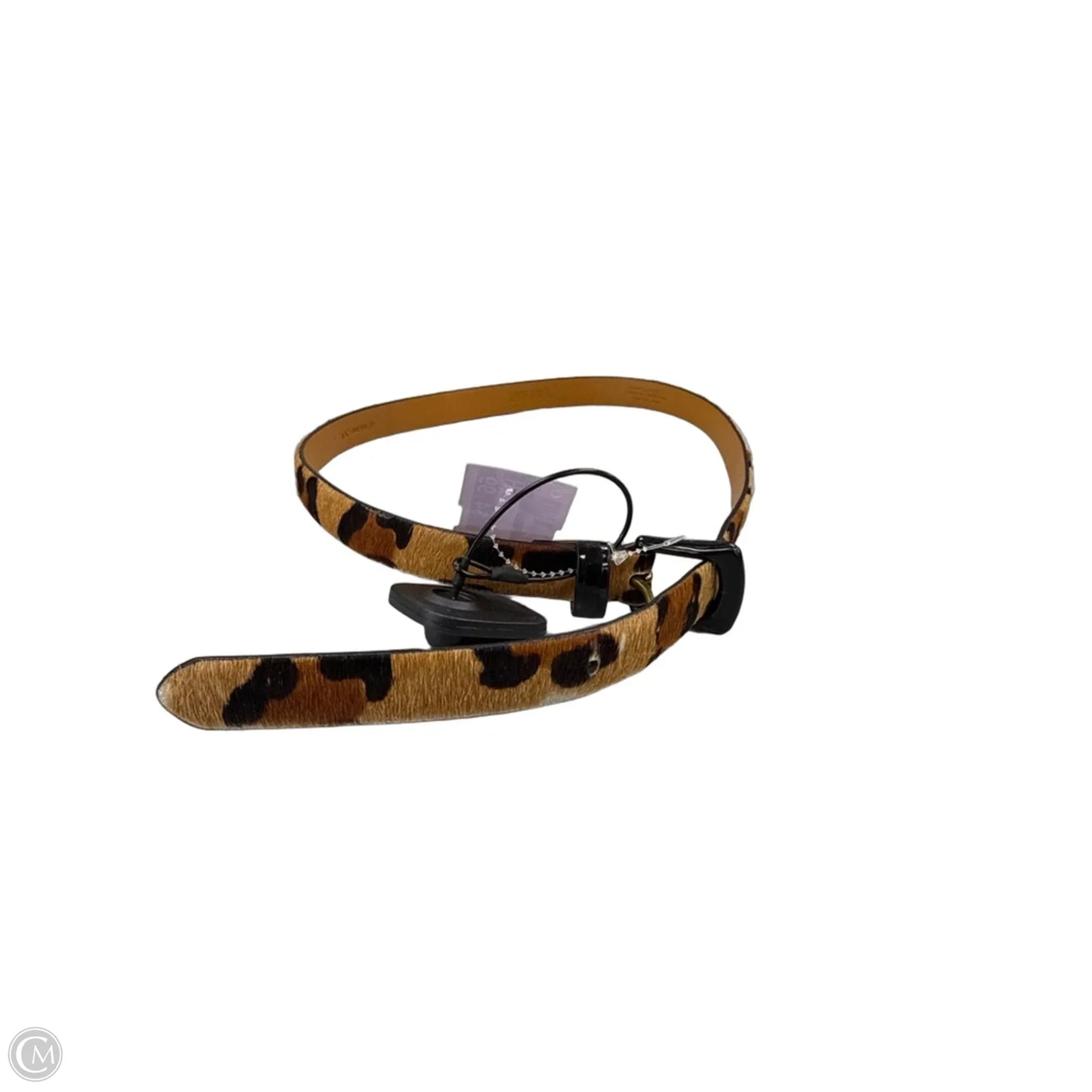 Belt By Cmf