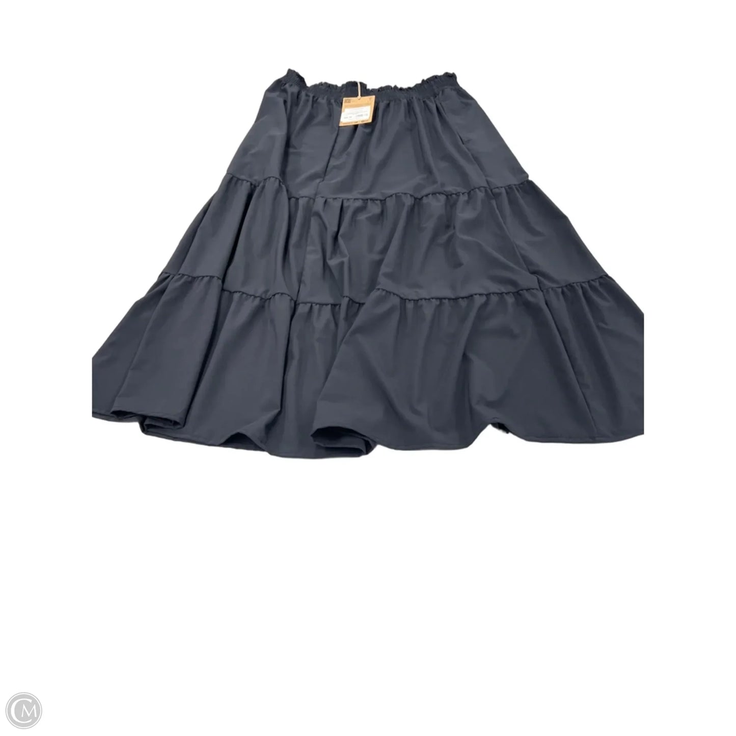 Skirt Midi By Toad & Co In Black, Size: L