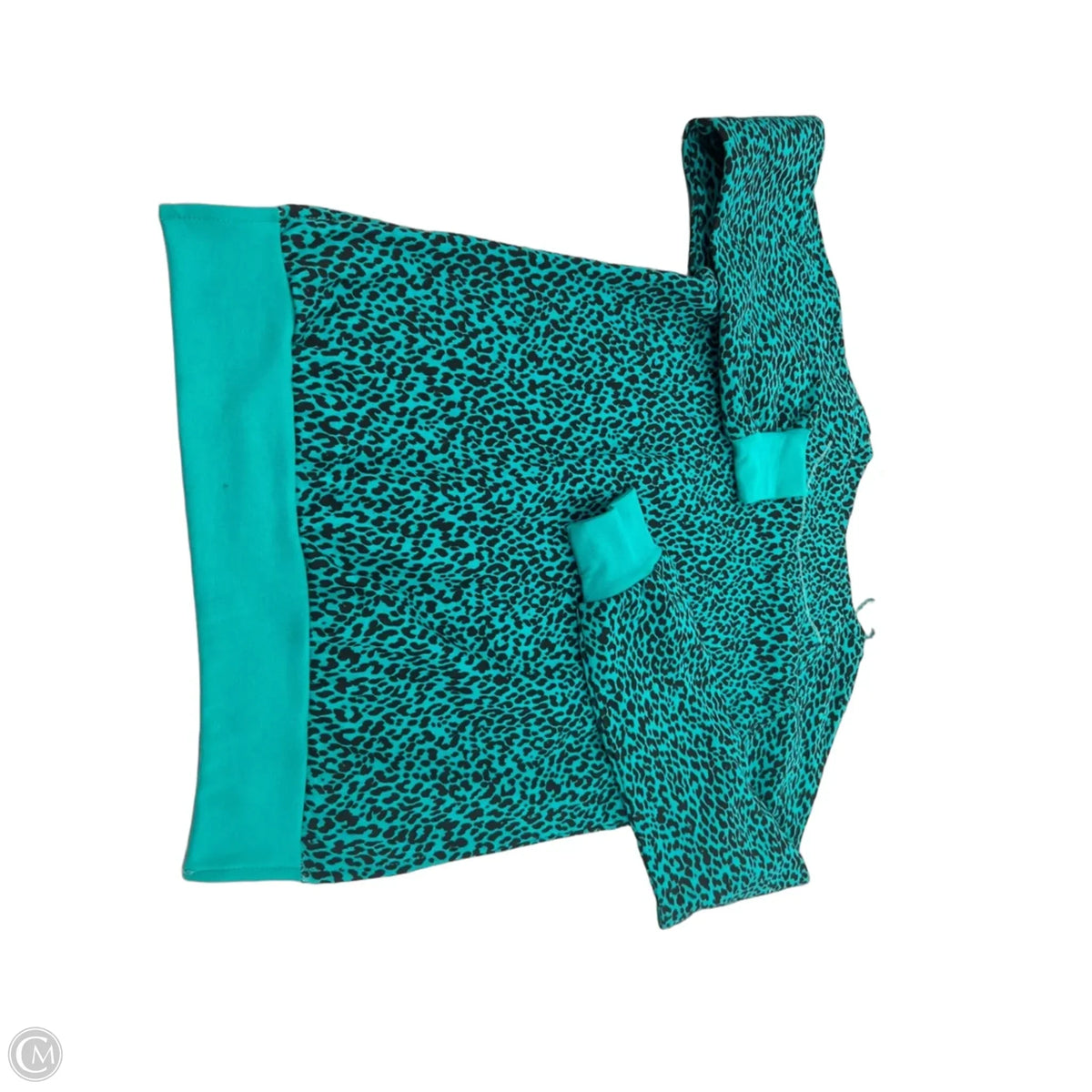 Top Long Sleeve By Jun & Ivy In Teal, Size: Xs