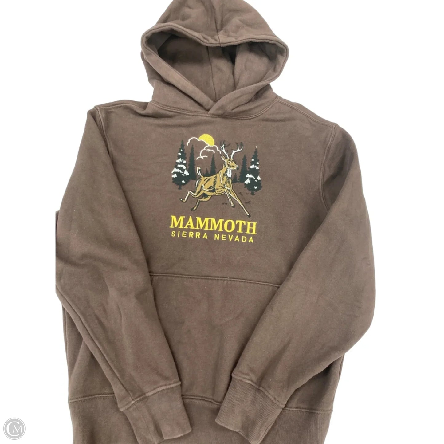 Sweatshirt Hoodie By Old Navy In Brown, Size: S