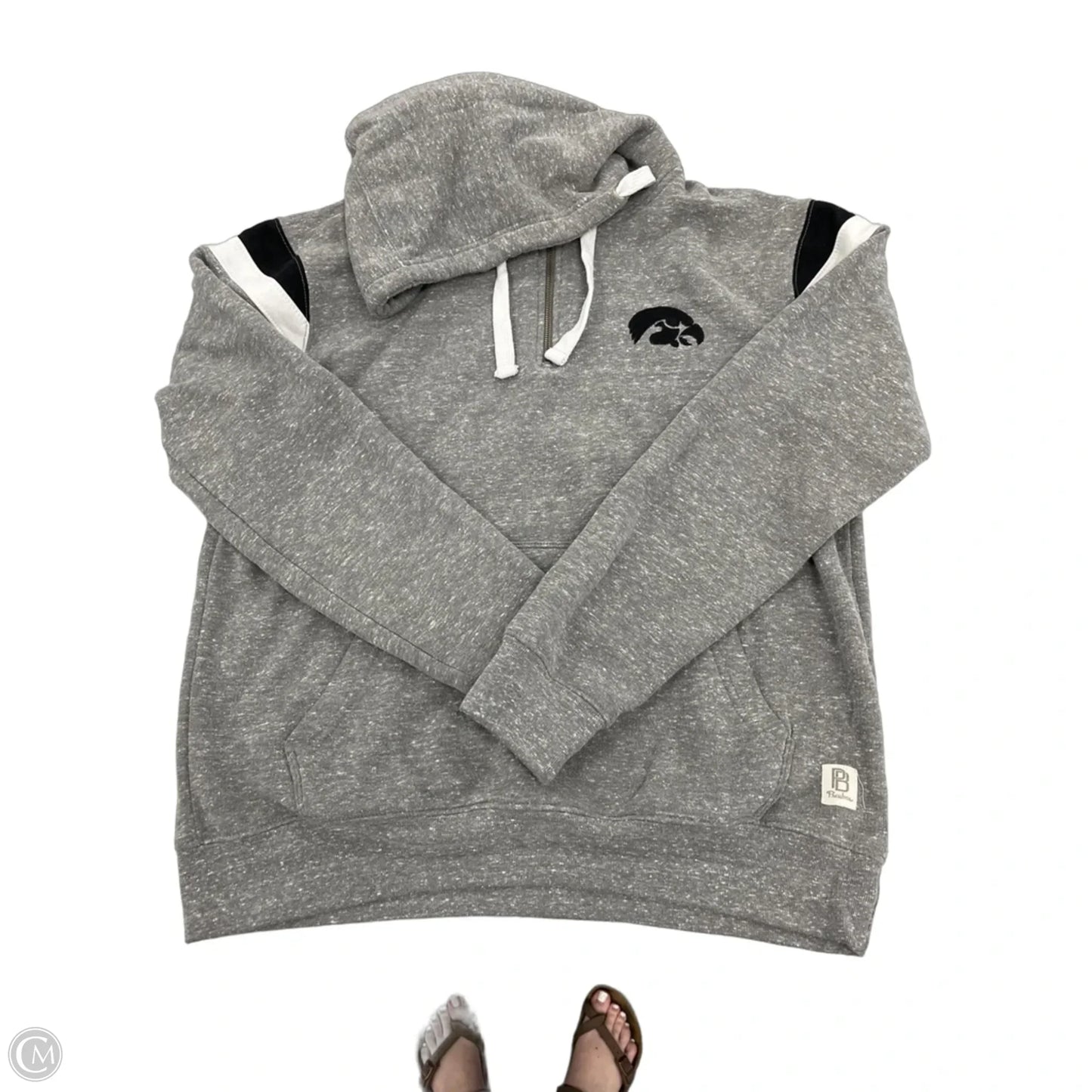 Sweatshirt Hoodie By Pressbox In Grey, Size: L